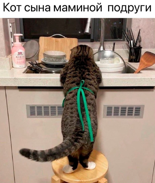 csocvh4igdgkslocook0.png