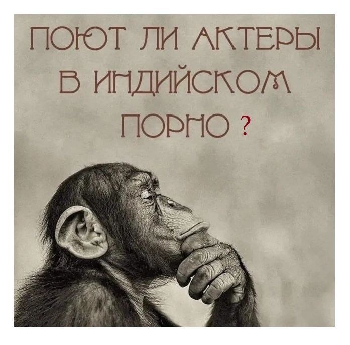 csouo1sigdgnajs22f00.jpeg