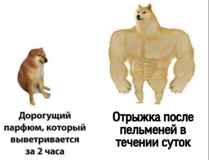 bKC4PM8Cz88yLQNQHhPbsoDmop3dYocNlVEi5OkGSBgmnc9_uehbHQDi5USJPvg5Eg1VQE6rx9F8kQGB1yVfKww9.jpg