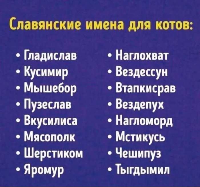 csvgbhkigdgmhquhubug.jpg