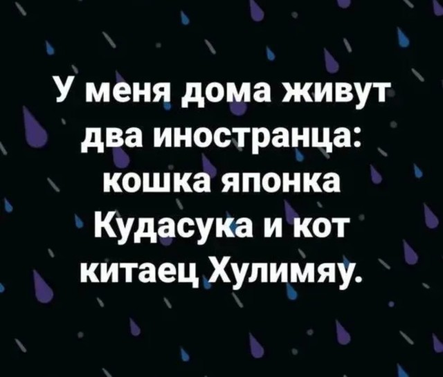 csvg70cigdgmhquhubtg.jpeg