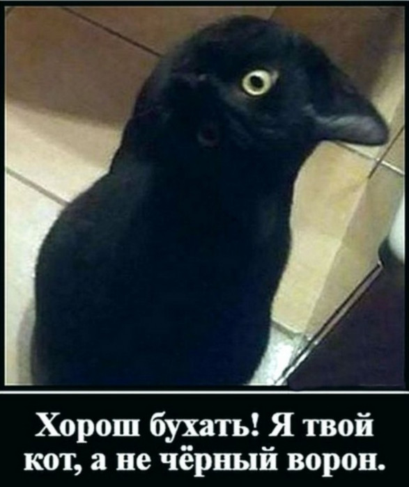csvgt1kigdgmhquhuc10.jpeg
