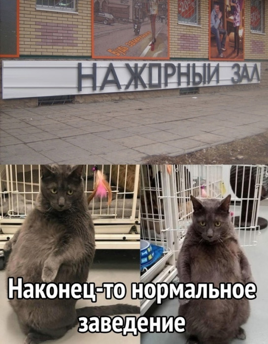 ct2mu8sigdgskd2eipi0.jpeg