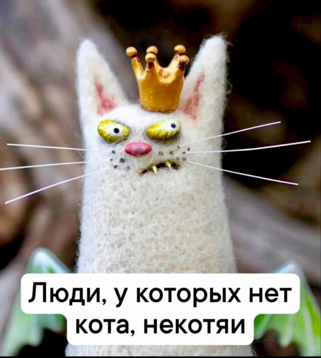 8b023e37554c20a7de45c20d8587d9f11b252c58.jpeg