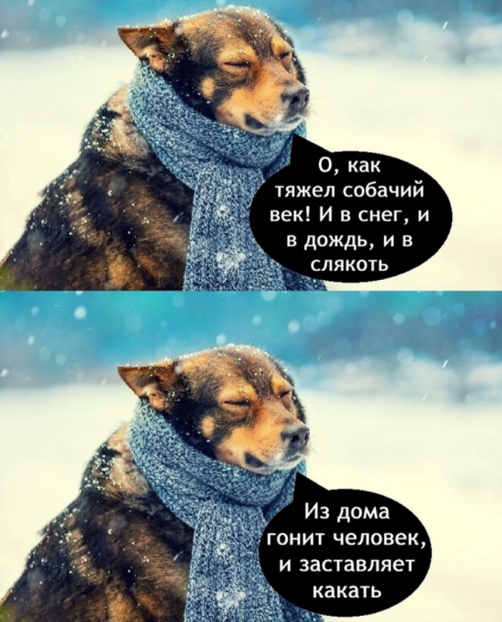 ct5u4okigdgmjem2er7g.png