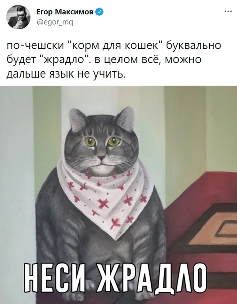 ctarvbsigdgkk0hp9c40.jpeg