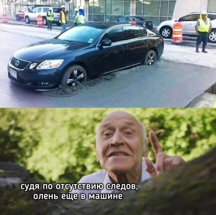cte197cigdgnvo2qqe6g.jpeg