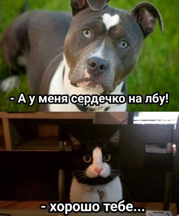 ctg0i54igdgtpglj9eeg.png