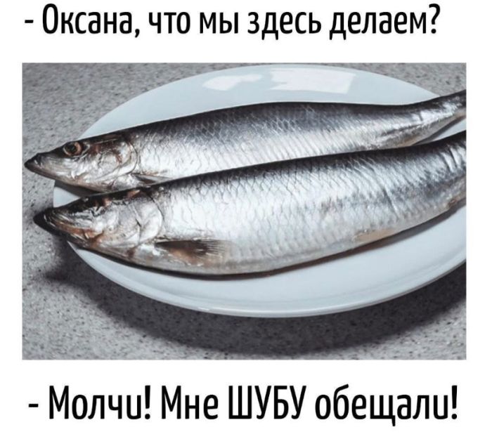 ctmfrtcigdgood021u6g.jpeg