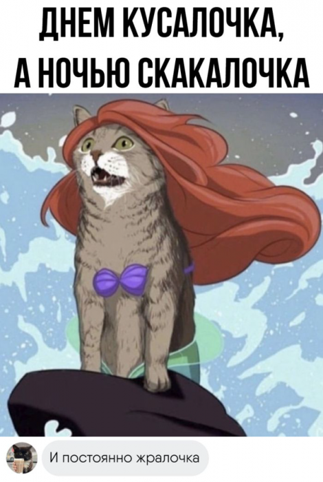 ctvn9jkigdgoldjc1evg.png