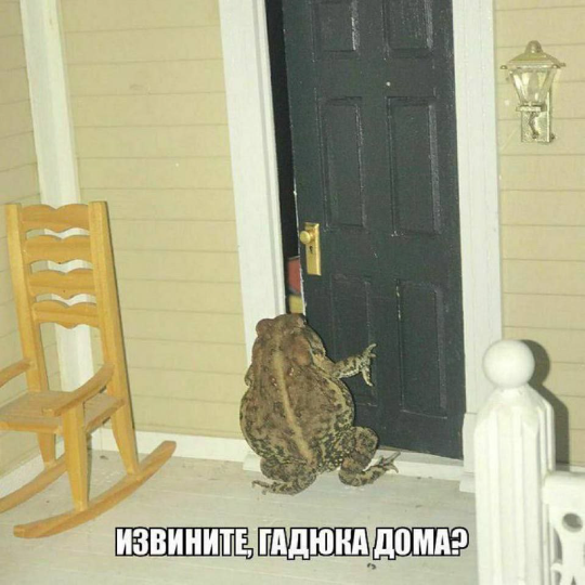 cu4gticigdgo30kr6k60.png