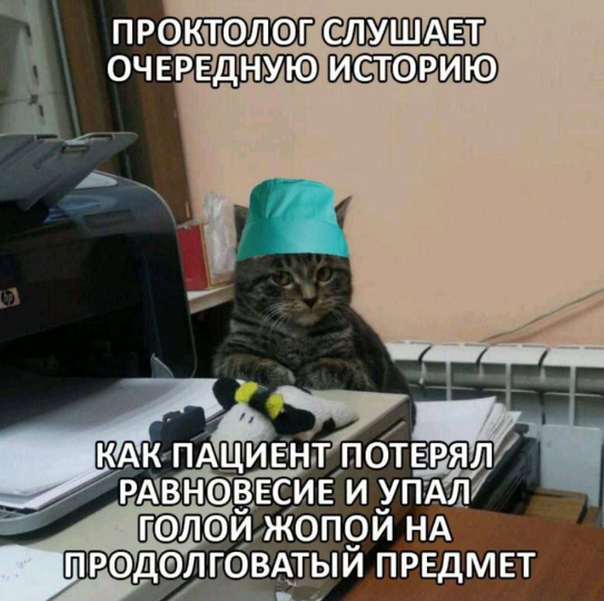 cu8psrkigdgn1l5u3ppg.png