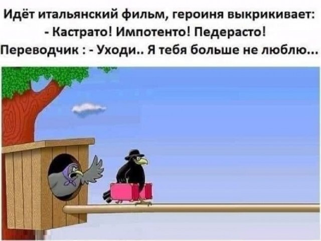 cu8uv8cigdgn1l5u3q5g.jpeg