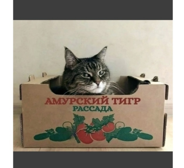 cukiaaesmbqin75gmmtg.png