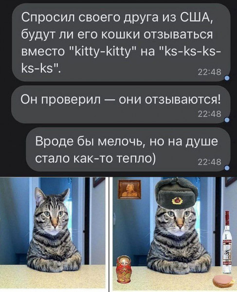 cup5466smbqrt324poq0.png