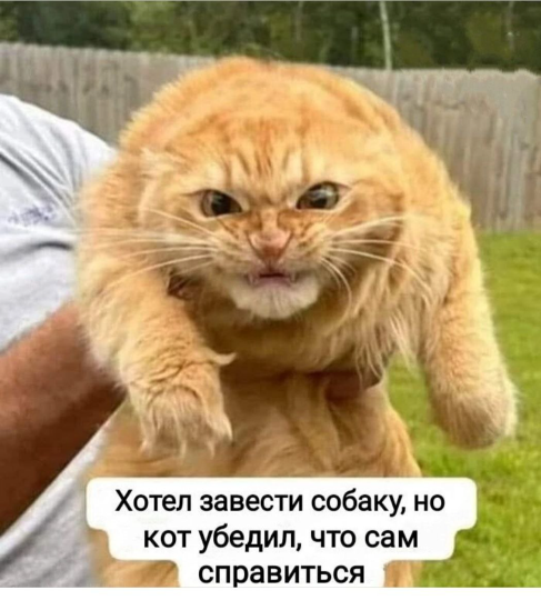 cutf1uesmbqssn7d6sig.png