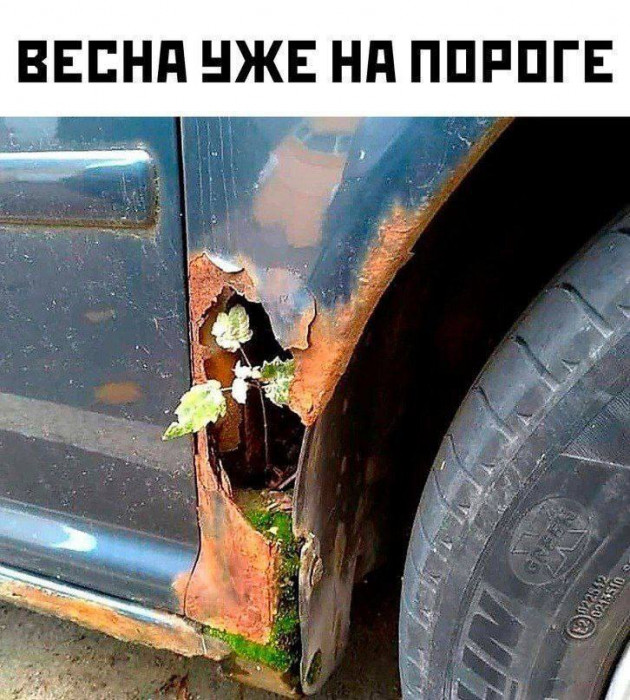 cv0p3omsmbqssn7d7980.jpeg