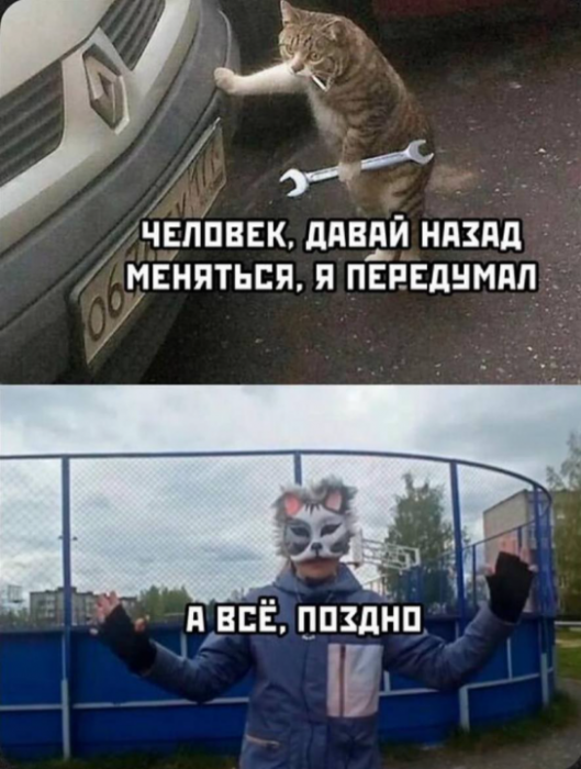 cv0pi0esmbqssn7d79c0.png