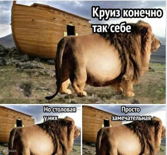cv2jq16smbqm82l6k480.jpeg