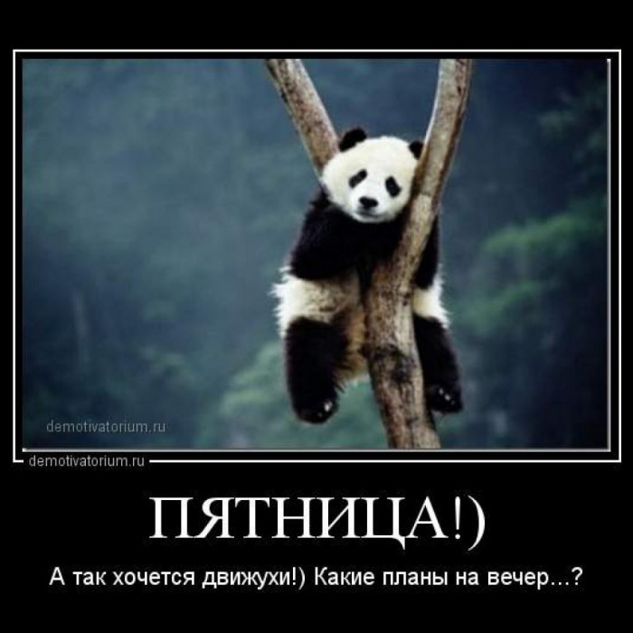 1666331239_20-mykaleidoscope-ru-p-otkritki-smeshnie-pro-pyatnitsu-instagram-20.jpg