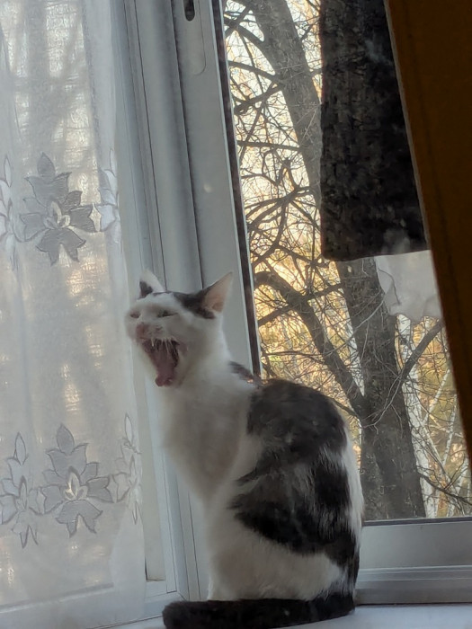сп.jpg