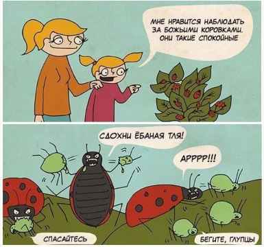 cvuar1esmbqj35vtnsug.png