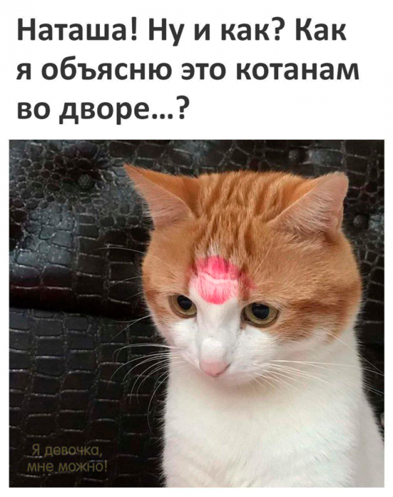 cvvf9jesmbqj35vto23g.png