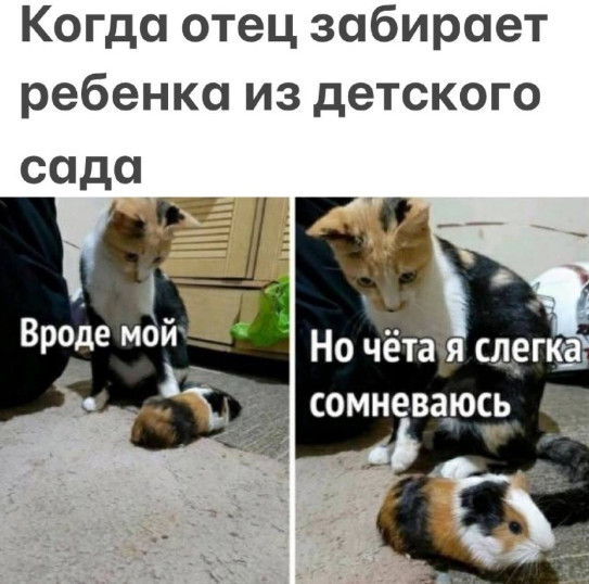 cvvibomsmbqj35vto24g.jpeg