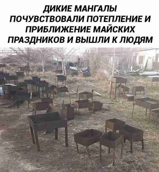 d00djbusmbqjd6bgtchg.jpeg