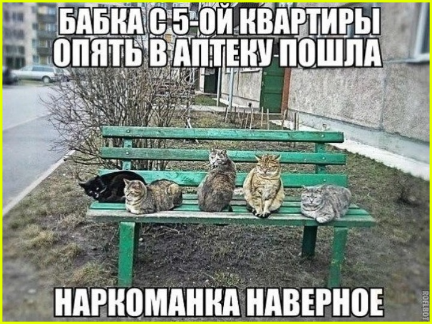 d07br5esmbqhoratmpm0.png