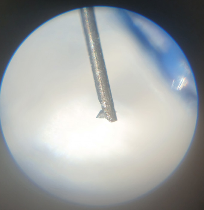 20250529_142449.jpg