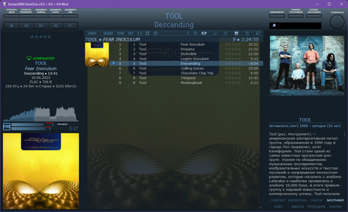 Tool - Fear Inoculum (2019) [LP].jpg