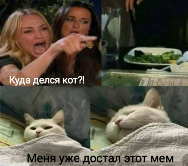 d1338omsmbqg556nn5hg.png