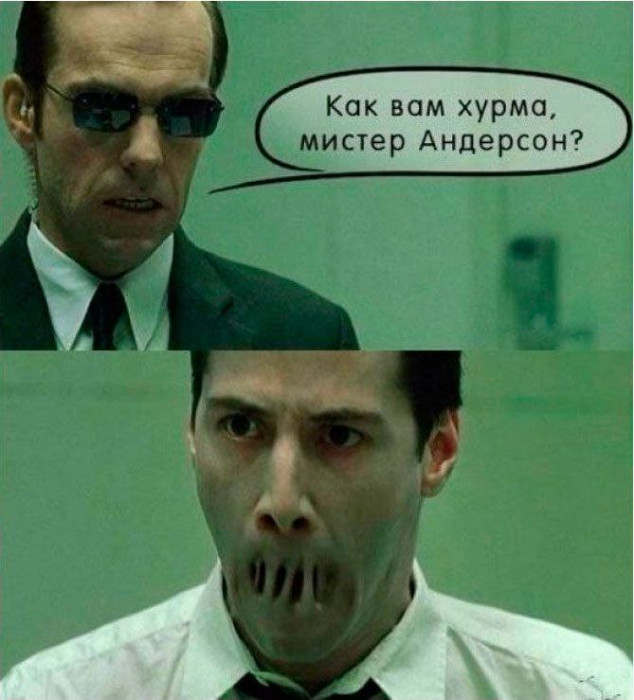 d1dde0msmbqrit1rlkg0.jpeg