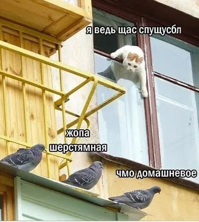 01_11.jpg