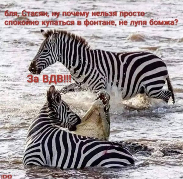 d2cbivusmbqg7fdg0meg.jpeg