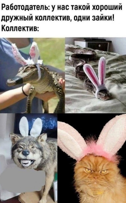 2.jpeg