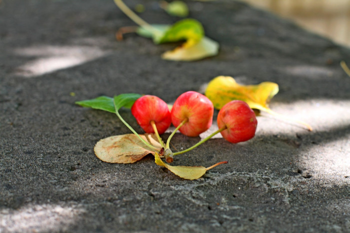 Image00006.jpg