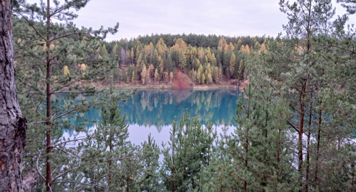 20251004_103721.jpg