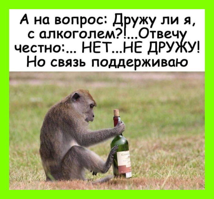 1646336642_11-krot-info-p-prikoli-pro-vipivku-smeshnie-foto-11.jpg