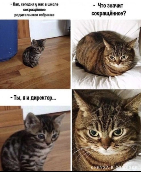 d4t9h96smbqgcskuf210.jpeg
