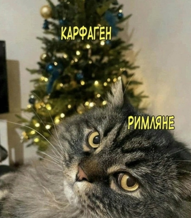 d56pn4esmbqki27m8h00.jpeg