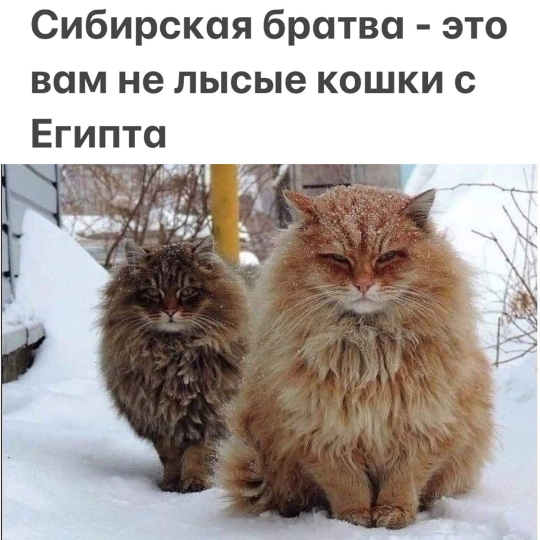 d57ta8usmbqki27m8mmg.png