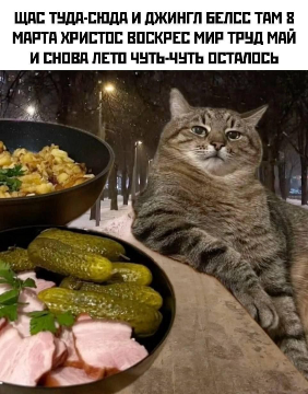d5es5jesmbqt5jgmd7b0.png