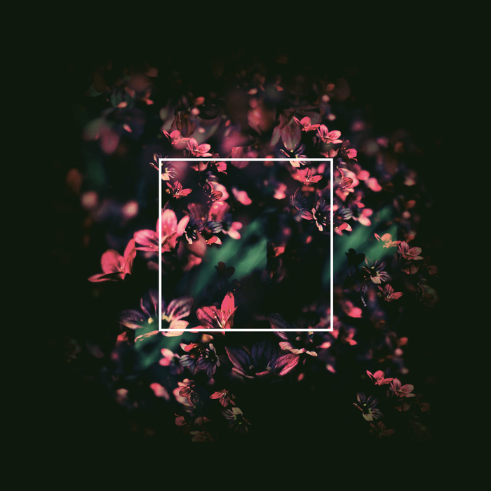 Jan Amit - Flowertraces - Cover.jpg