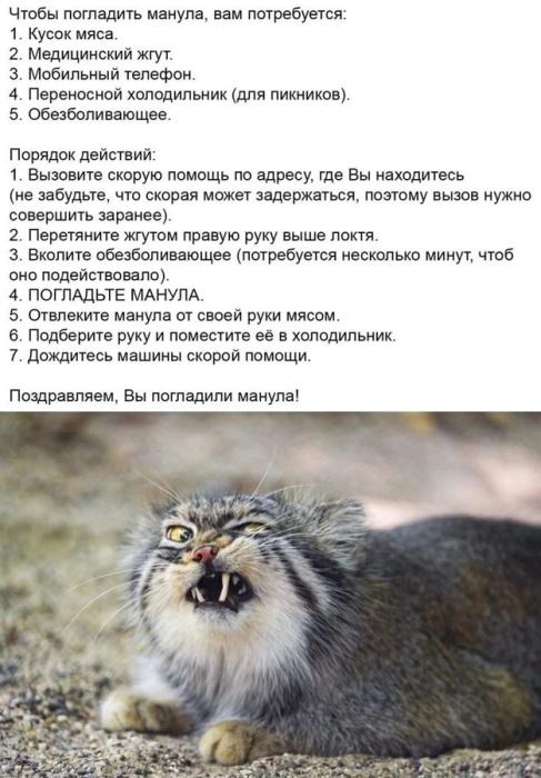 d5u5aomsmbqm8q3solng.png