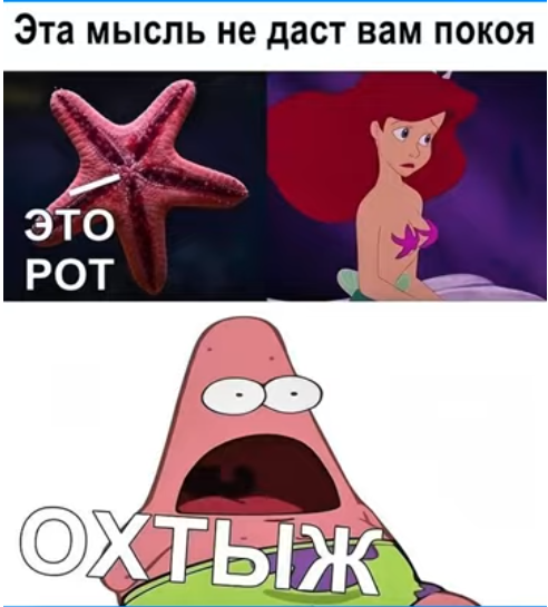 d5vpakesmbqi215l4fa0.png