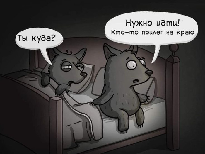 d6e6j3usmbqv6ckb8m40.jpeg