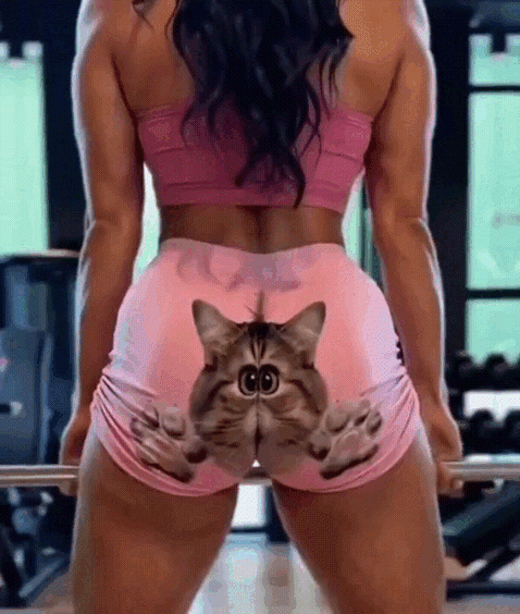 d8knndusmbqrfvap6e8g.gif