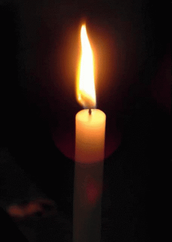 in-remembrance.gif
